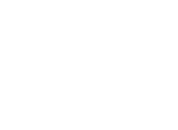 The Town Butcher